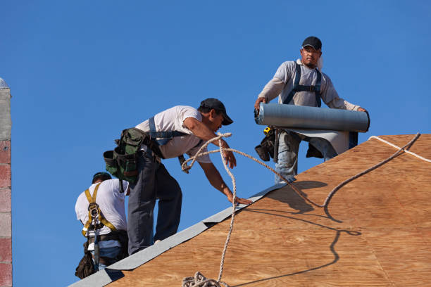 Professional Roofing Contractor in Alexandria, IN